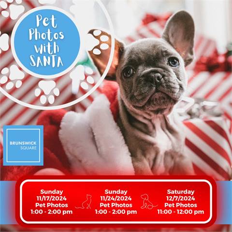 Pet Photos with Santa at Brunswick Square (East Brunswick, NJ)