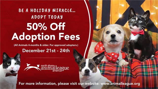 Be a Holiday Miracle...Adopt! - North Shore Animal League America (Port Washington, NY)