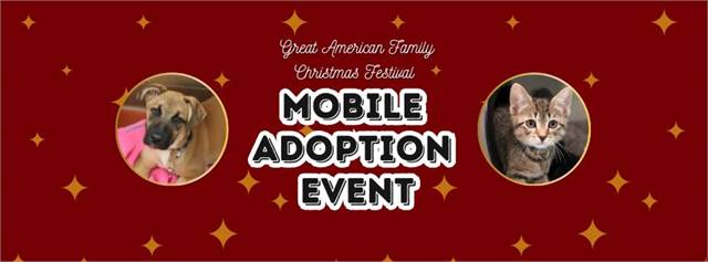 Mobile Adoption Event at Great American Christmas Festival (Elmont, NY)