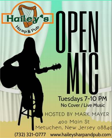 Open Mic with Mark Mayer at Hailey's Harp and Pub (Metuchen, NJ)