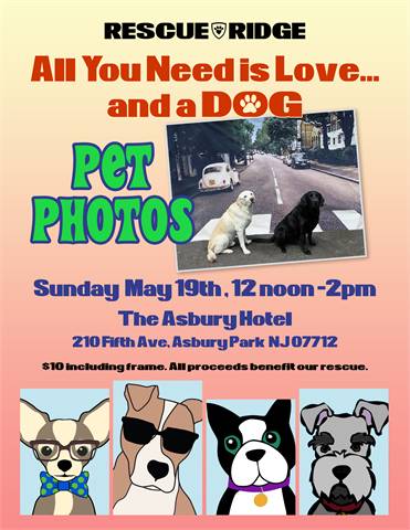 Rescue Ridge "Labby Road" All You Need is Love and a Dog Pet Photos at The Asbury Hotel