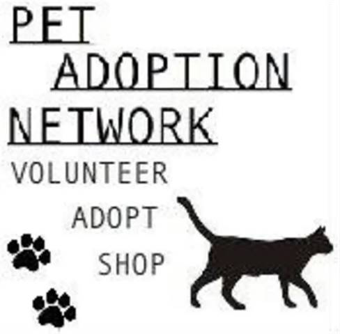 Pet Adoption Network Cat and Kitten Adoption Saturdays at Petsmart Holmdel 