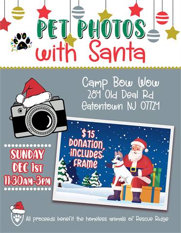 Santa Paws Photos at Camp Bow Wow (Eatontown, NJ)