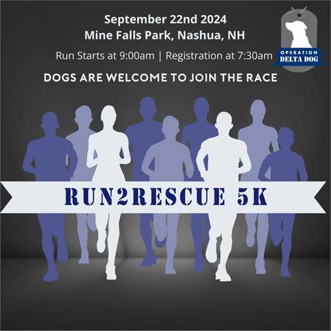 Run 2 Rescue