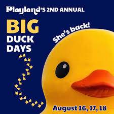 The World's Largest Rubber Duck Returns to Playland