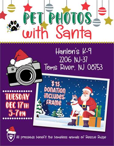 Santa Paws Photos at Hanlon’s K-9 (Toms River, NJ)