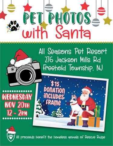 Santa Paws Photos at All Seasons Pet Resort (Freehold, NJ)