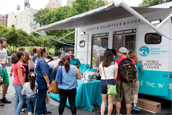 Animal Care Centers of NYC Queens Adoption Event at Koeppel Nissan (Jackson Heights, NY)