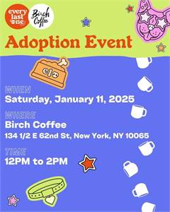 Every Last One Rescue Adoption Event at Birch Coffee (New York, NY)